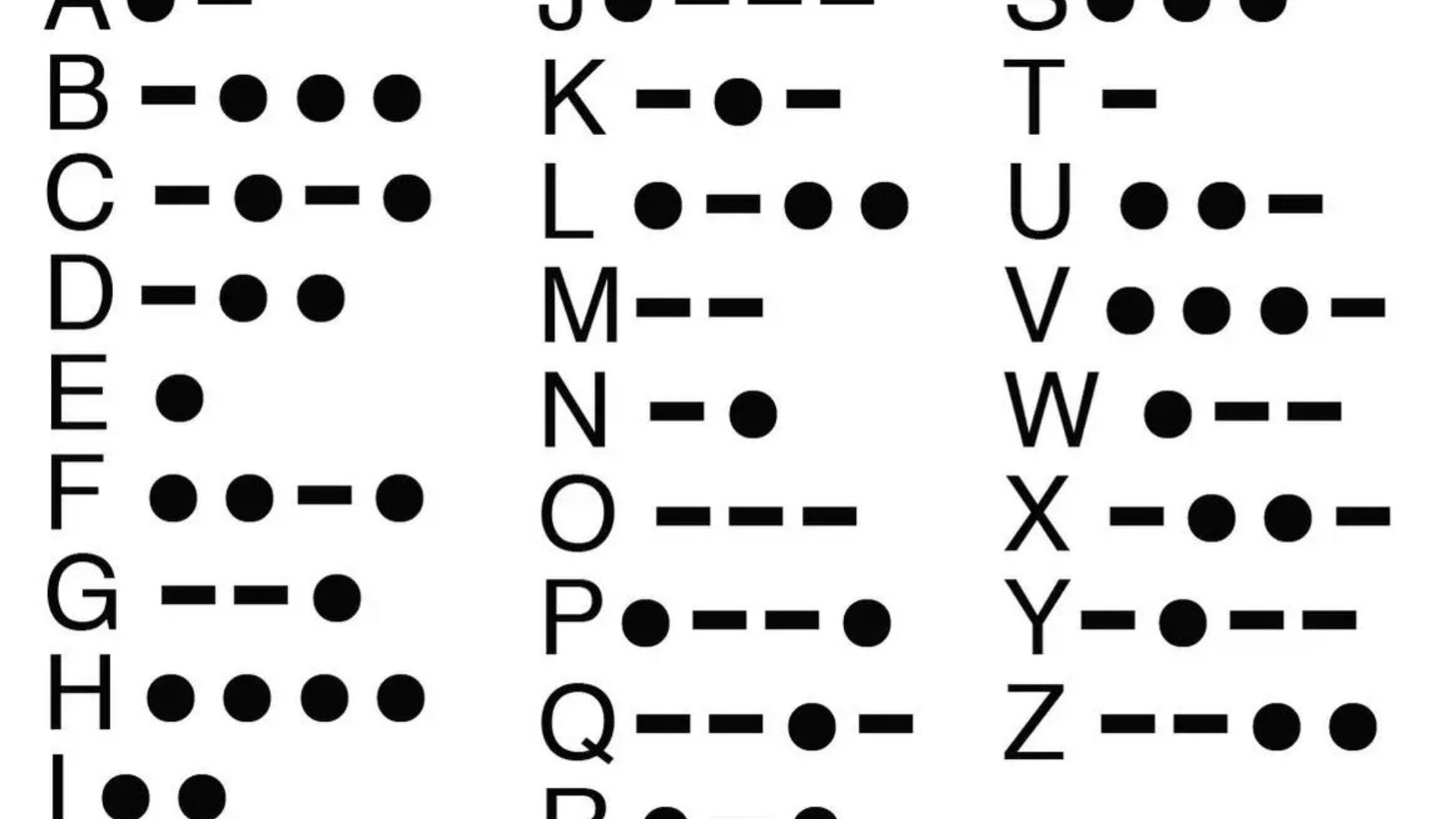 Morse Code Hamster: A Fun Exploration of Communication in the Animal ...