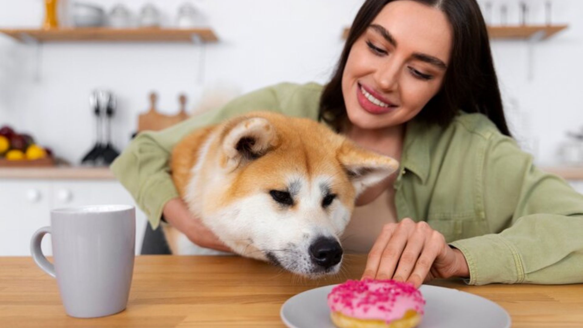 Can Dogs Eat Whipped Cream